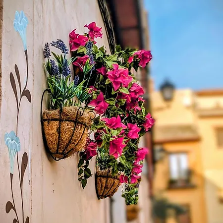 Santa Maria La Blanca Сasa de vacaciones